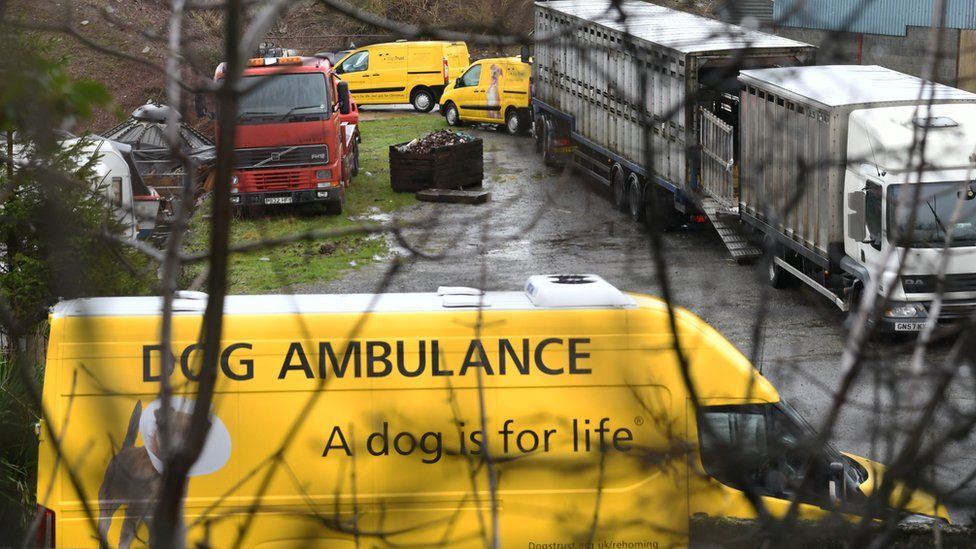 Dogs Trust vans at the site near Pembroke Dock