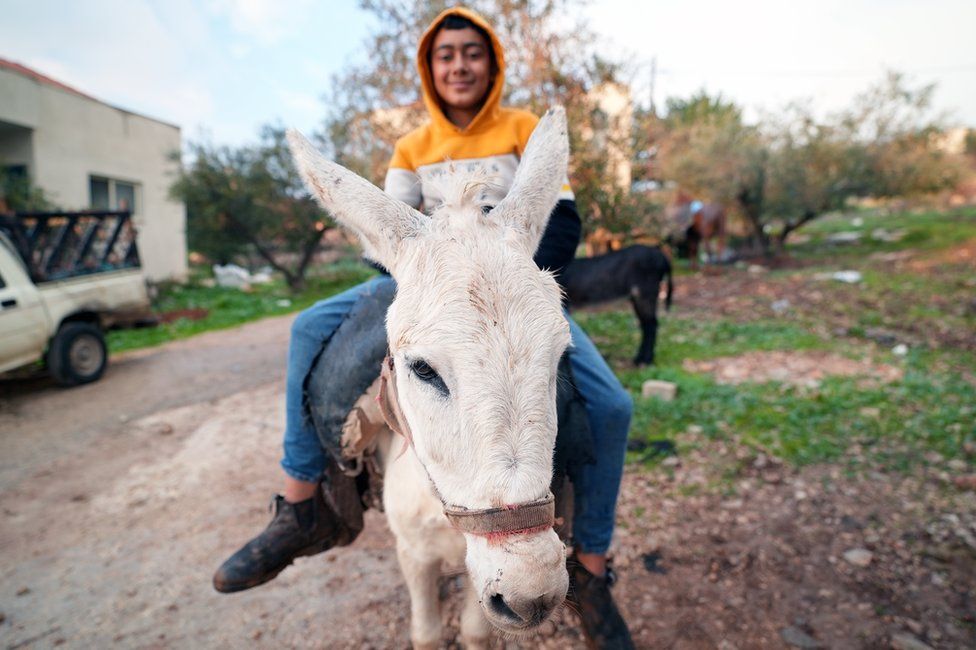 A Palestinian boy rides a donkey