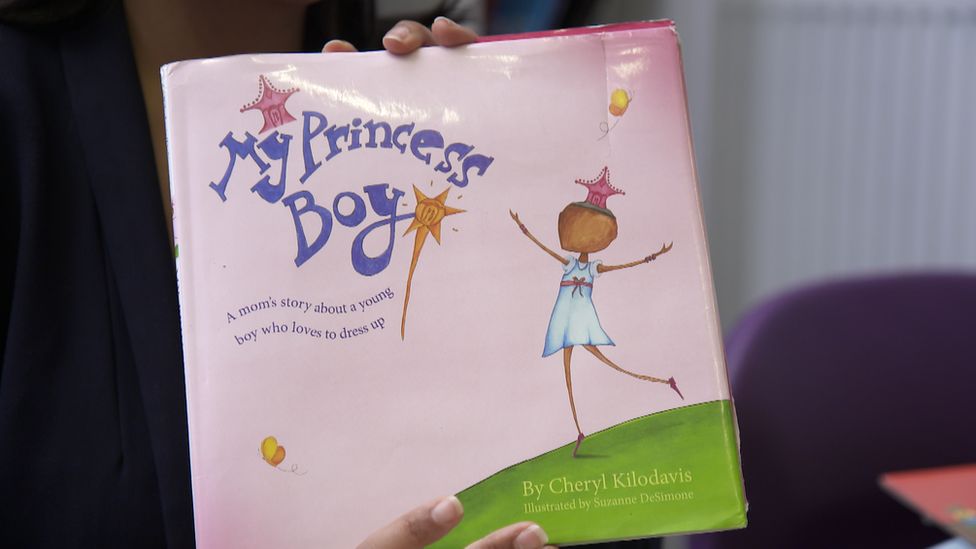 The Princess Boy book