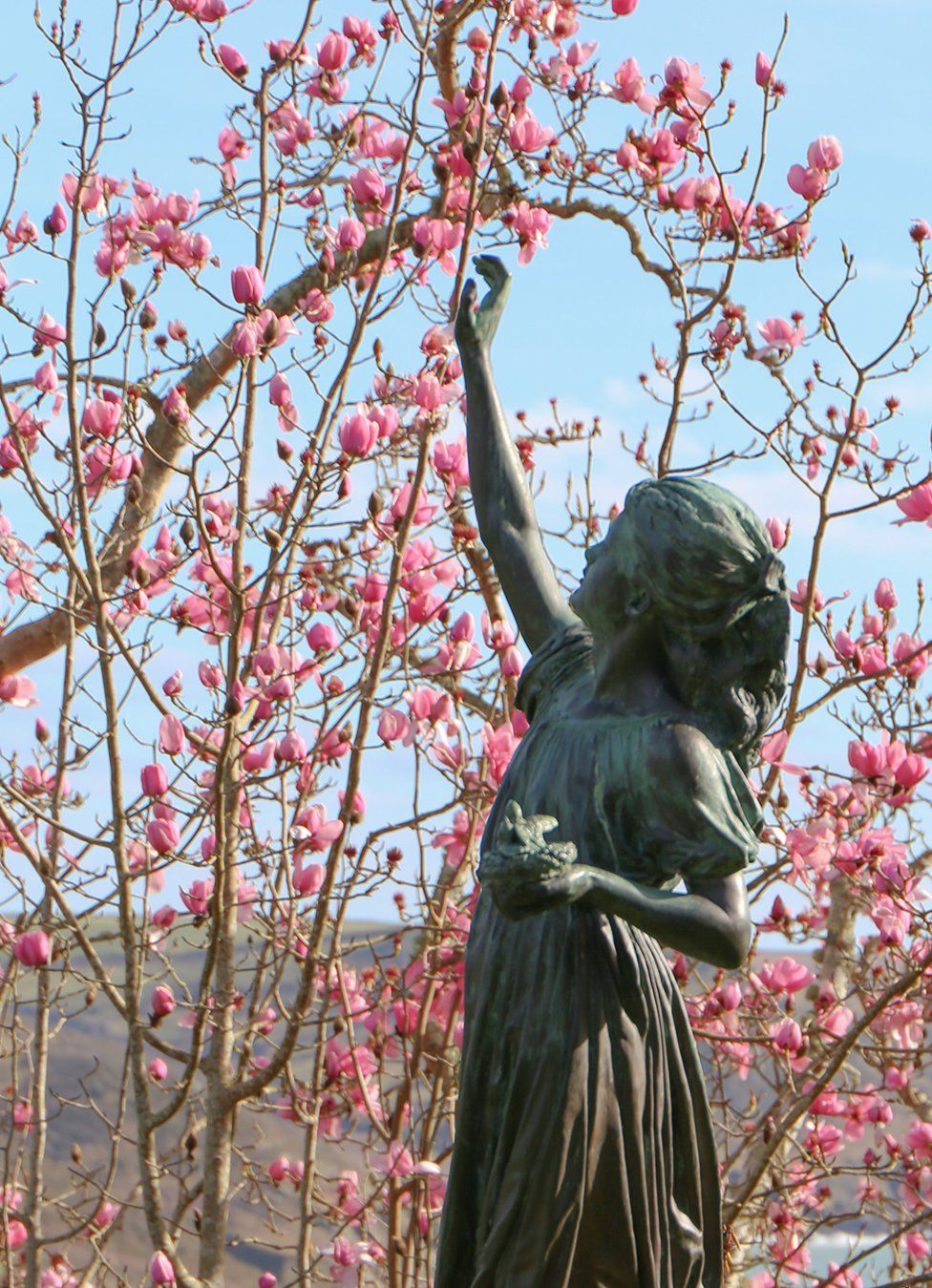 A sculpture of a girl in front of blossom