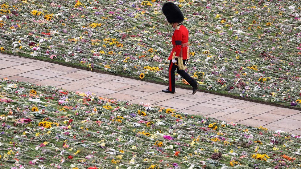 Flowers in Windsor Castle w Kings Guard