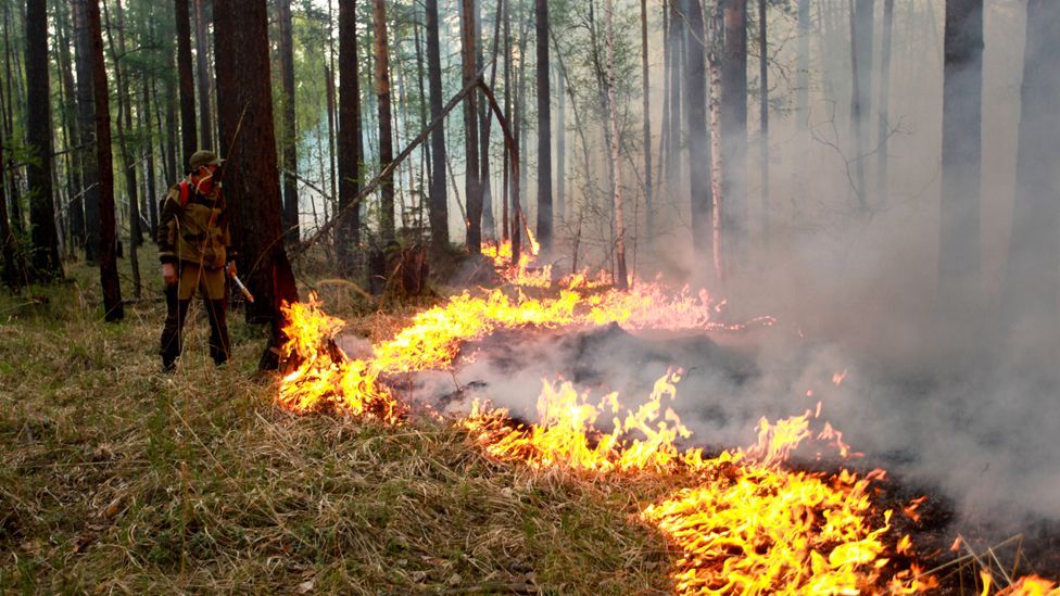 A fire fighter stands by a forest fire, watching it spread