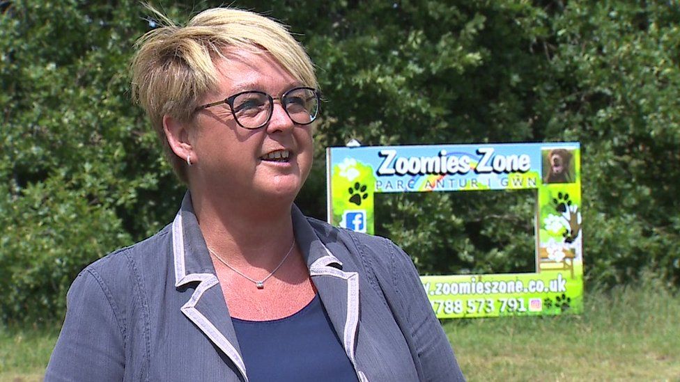 Illegal dog breeding investigations rise by 63 in Wales BBC News