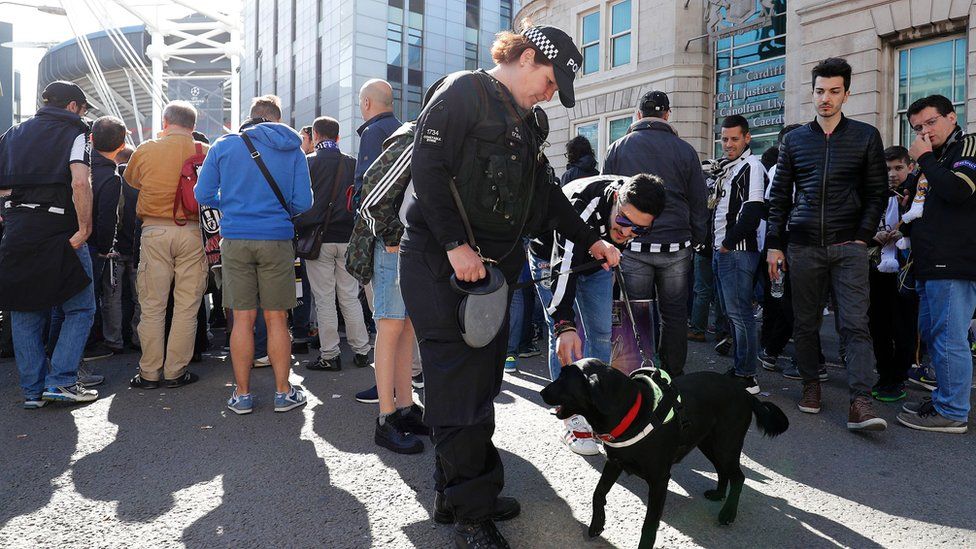 Police sniffer dogs in Cardiff city centre