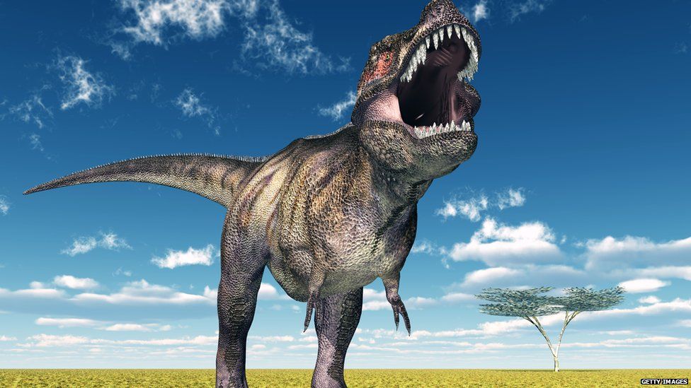 T rex dinosaur could not have run at high speed - The Statesman