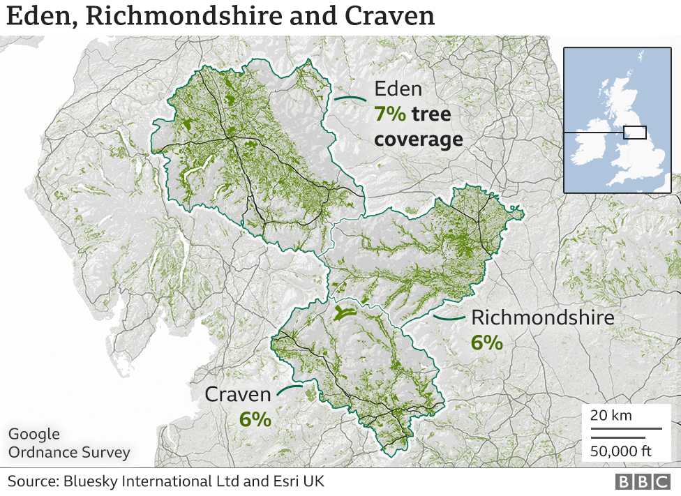A graphic showing the tree cover in Eden 7%, Craven 6% and Richmondshire 6%. They are all in the north close to the Pennines