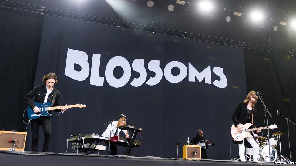 Blossoms