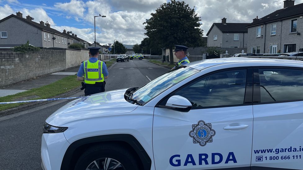 Gardaí at the scene of the deaths at Tallaght in Dublin
