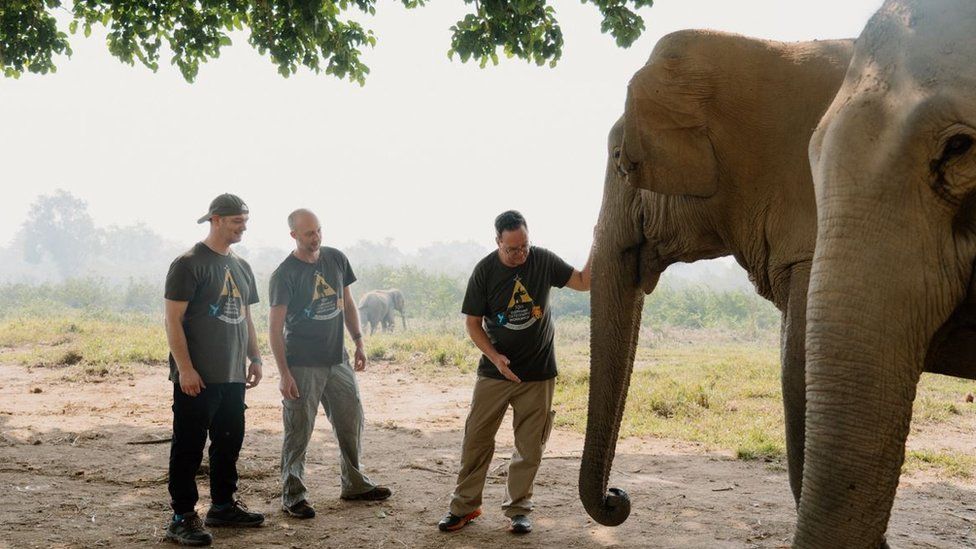 Three men and an elephant