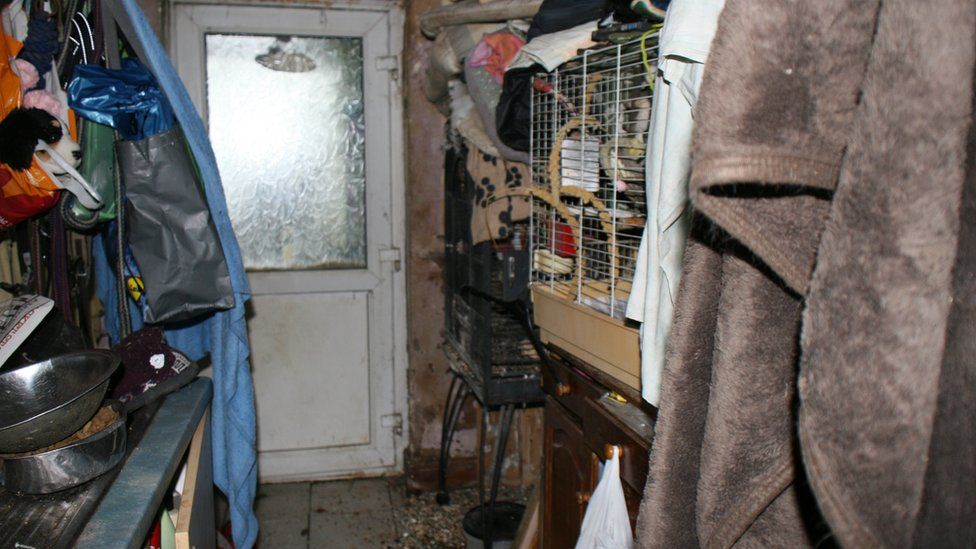 Animals Lived In Squalor At Illegal Dog Breeder s Whitchurch Farm BBC 