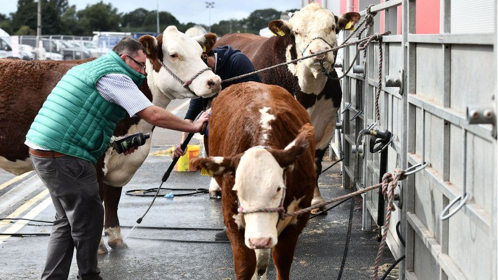 There was a queue for the showers at the Balmoral Show