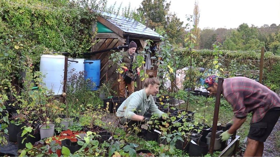 Gardeners on a fruit tree allotment