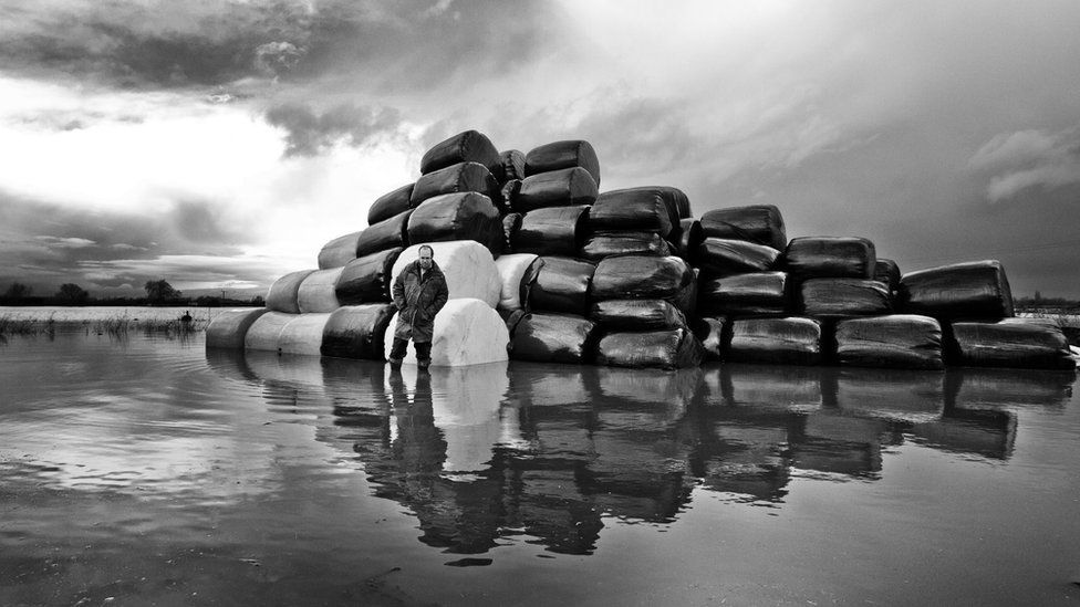 Loads of hay bales wrapped up with a man stood in flooded land