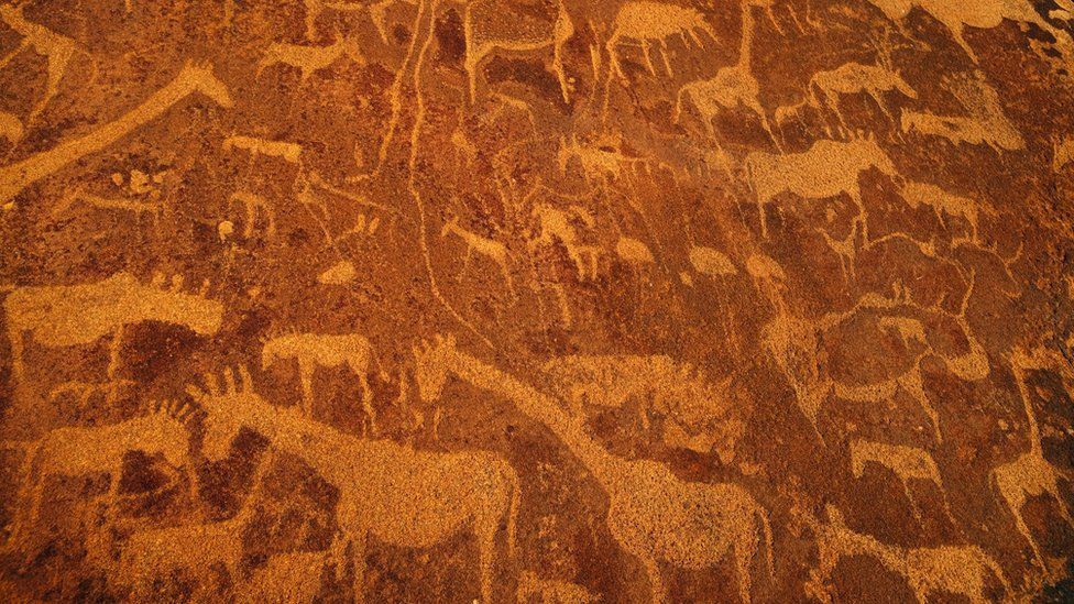 Rock art engravings at Twyfelfontein World Heritage Site at Uibasen Conservancy, Damaraland, Namibia