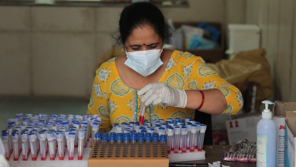 A health worker arranges test samples in New Delhi, India