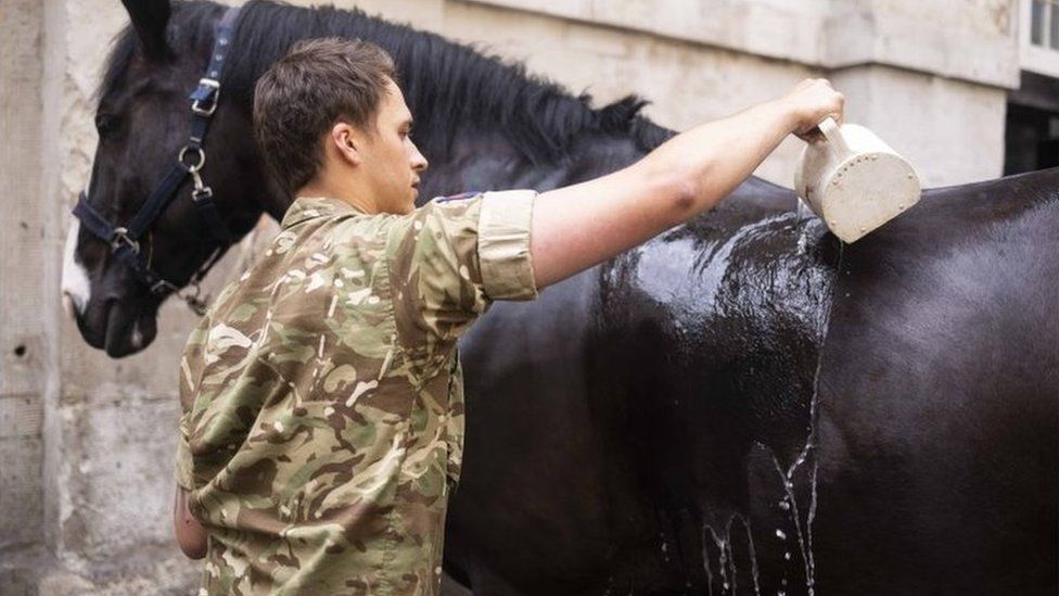 A Queen's Life Guard soldier helping a Household Cavalry Mounted Regiment horse stay cool earlier this week in London
