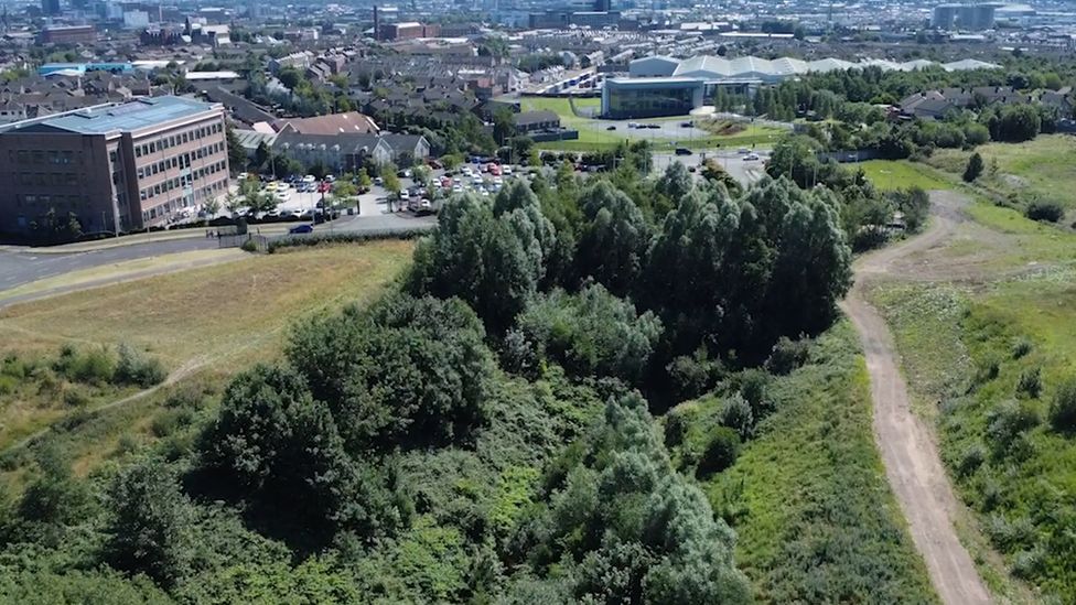 Aerial view of the old Mackies site