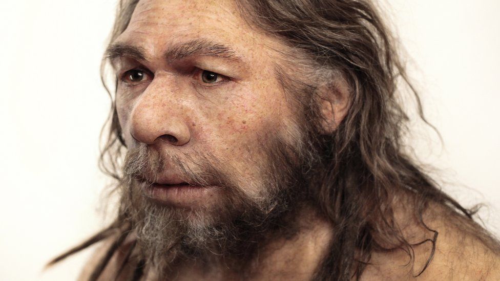 Reconstruction of a Neanderthal (Homo neanderthalensis) based on the La Chapelle-aux-Saints fossils