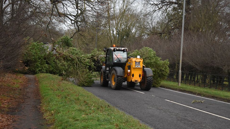 A fallen tree is removed from the road