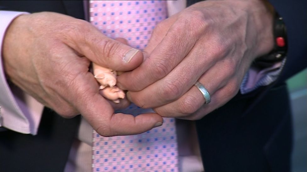 Willie Rennie with pigs in his hand