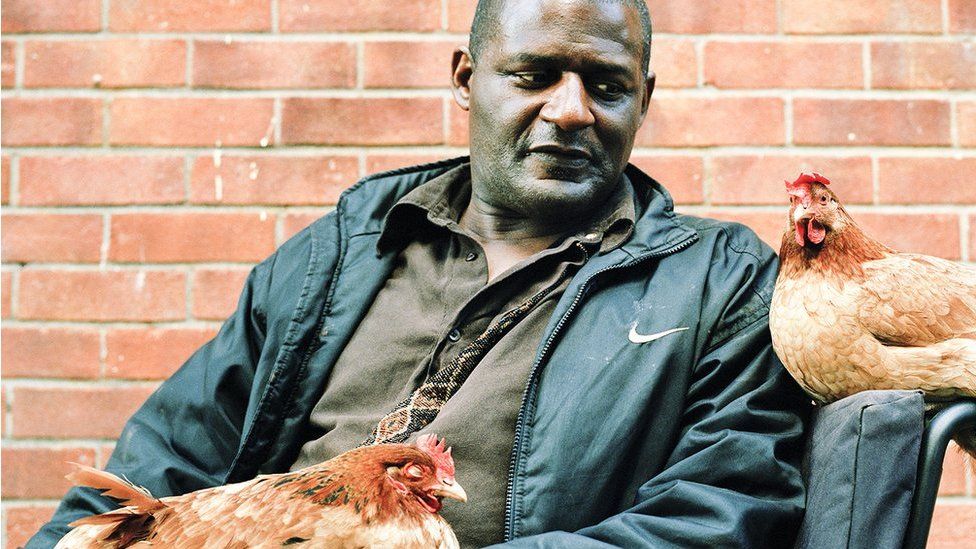 Man in wheelchair with chickens