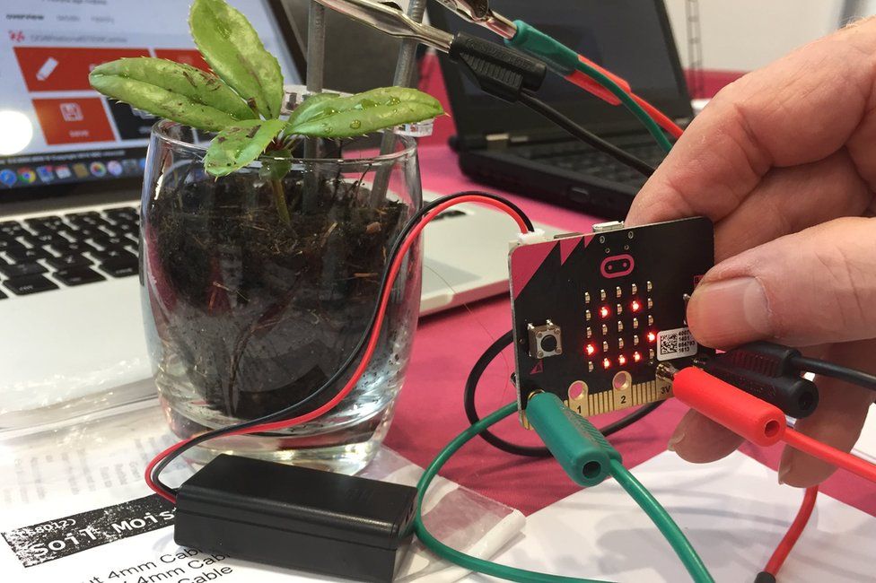 Micro bit attached to plant