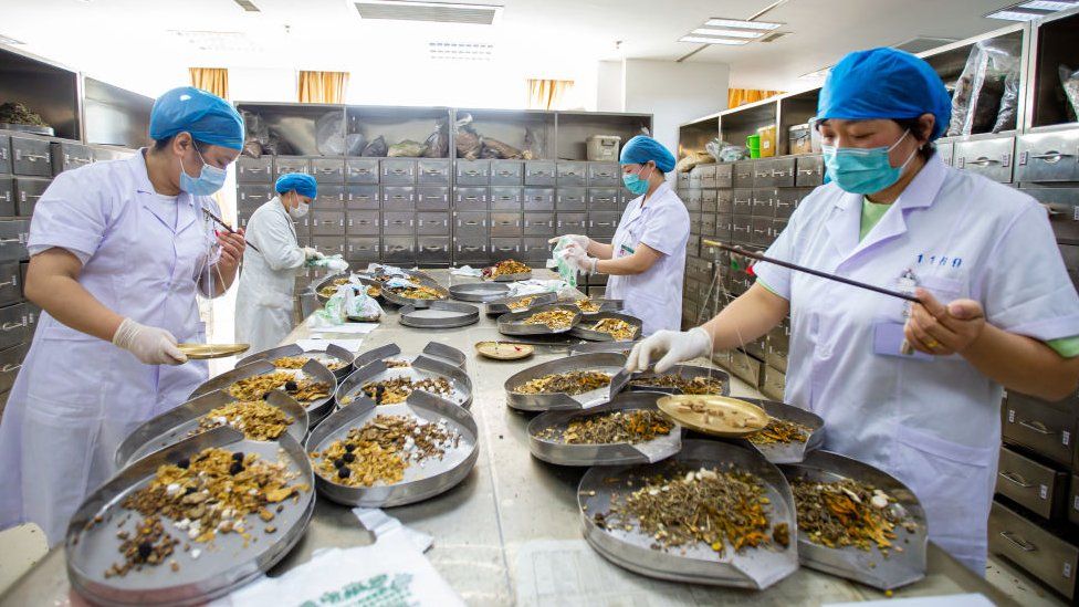 Workers preparing traditional medicine