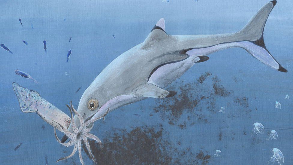 What the ichthyosaur might have looked like