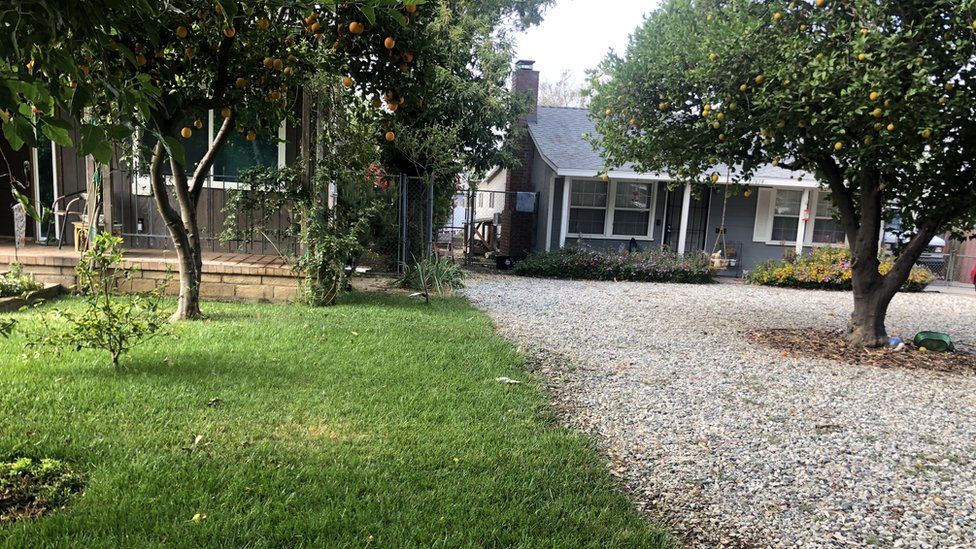 Neighbouring front yards in Granada Hills, California