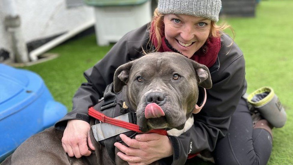 Dog smiling with it's tongue out with owner holding her