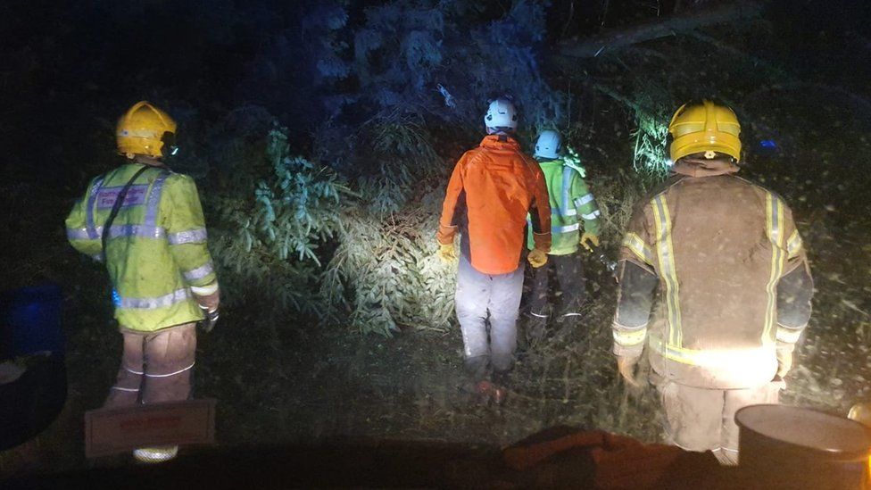 Tree surgeons help fire crew clear a fallen tree
