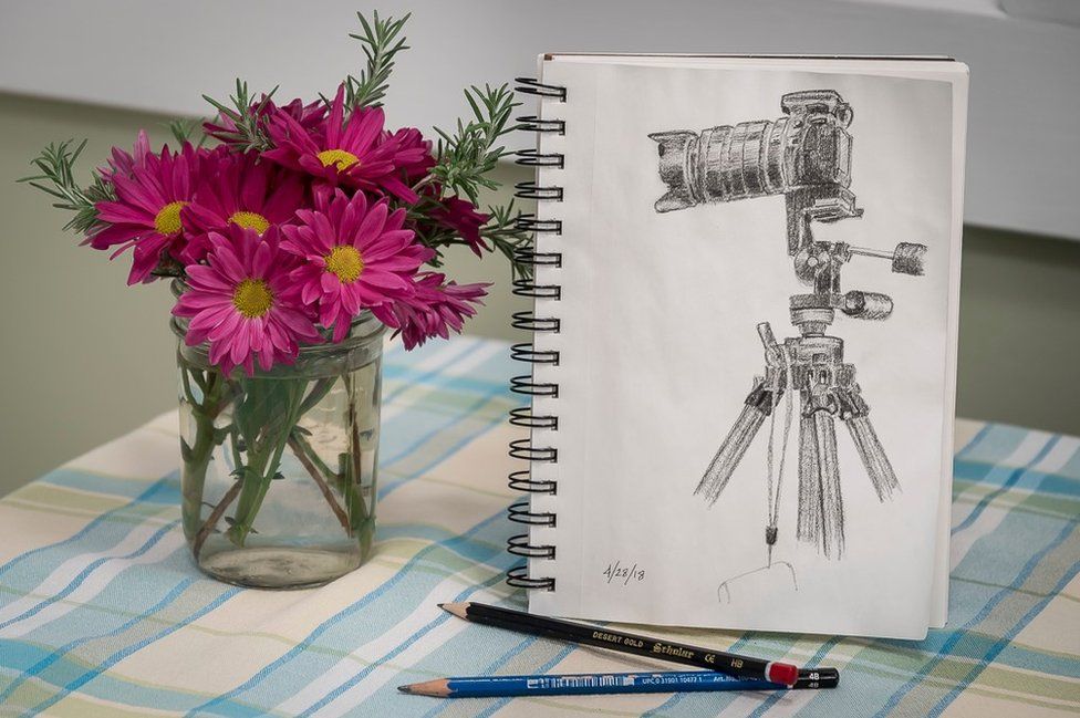 Sketch of a camera and some flowers