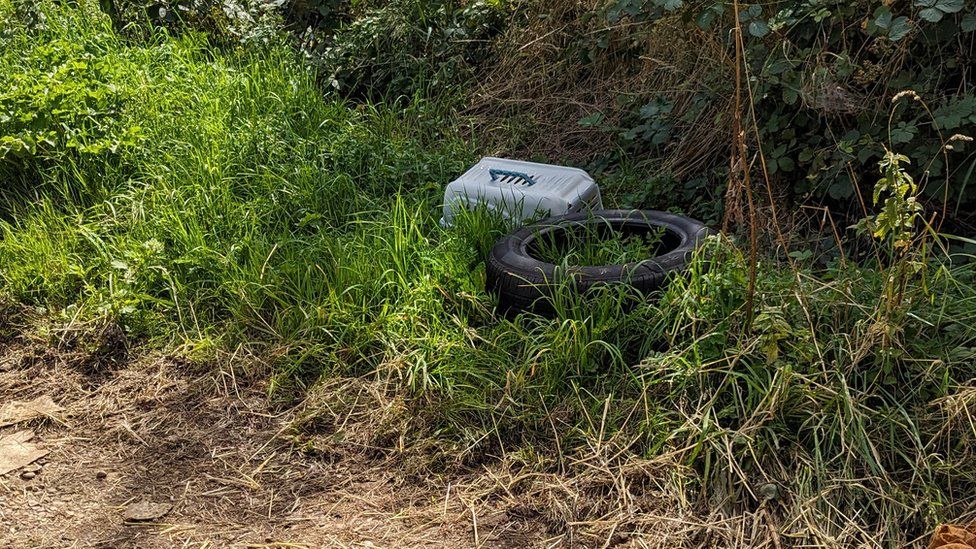 Cat basket in field