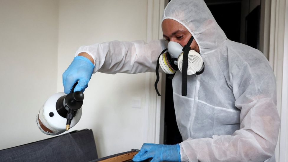 An exterminator works to clear bed bugs from a flat in Paris