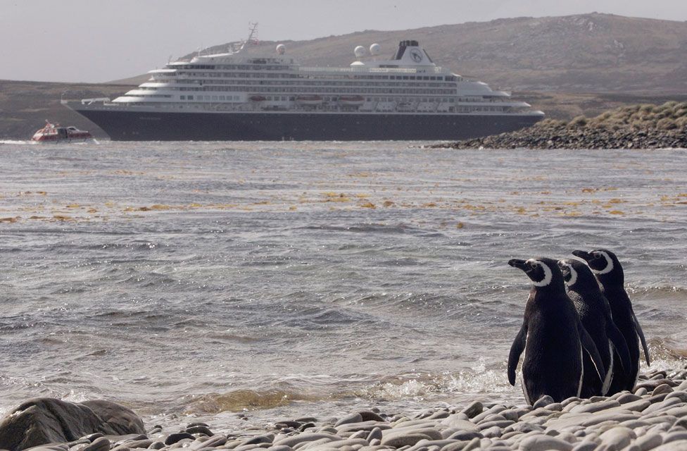 Penguins observe a cruise ship