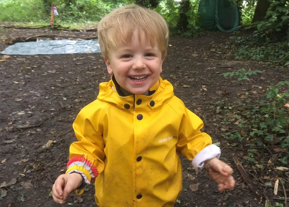 Forest nursery demand in London rises as expert calls for more research ...