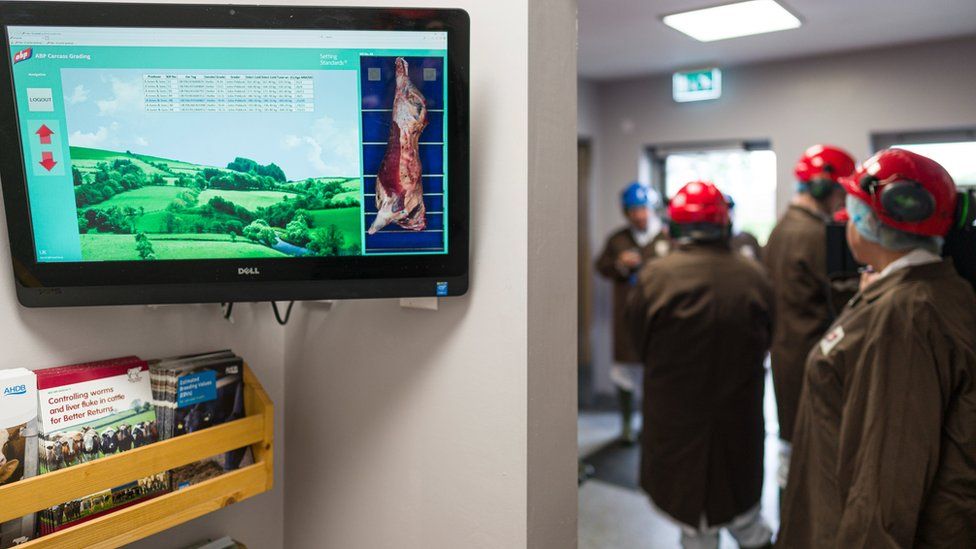 Images of carcases and data analysis are emailed to farmers and also displayed in the waiting room