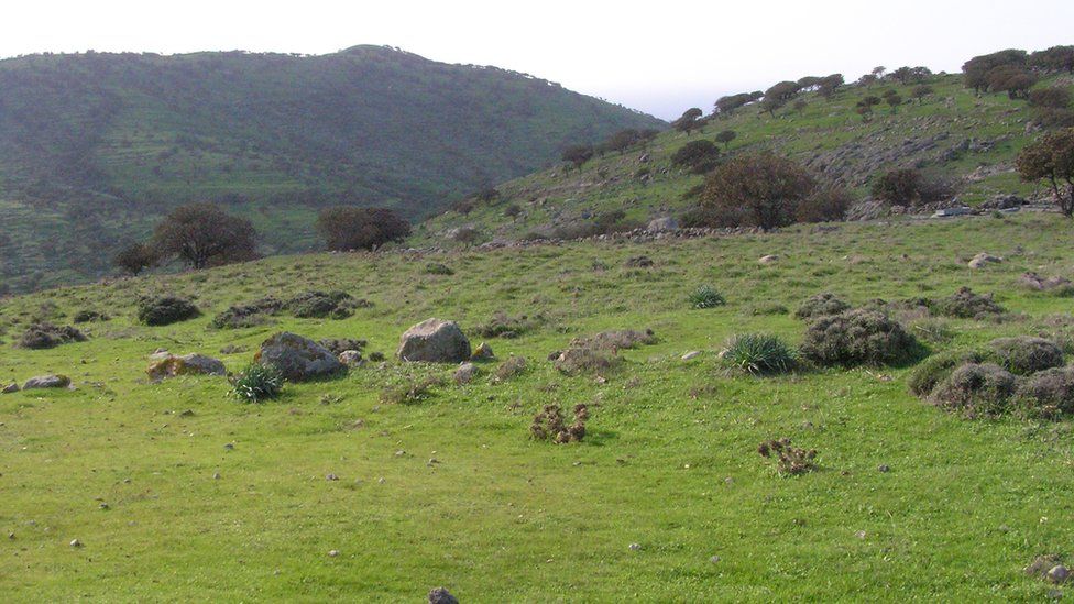 Grassy hills on Agios Efstratios, 2010 (pic courtesy of Stella Spanou)