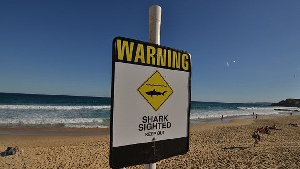 A shark warning sign is seen posted on the beach in the northern New South Wales (January 2015)