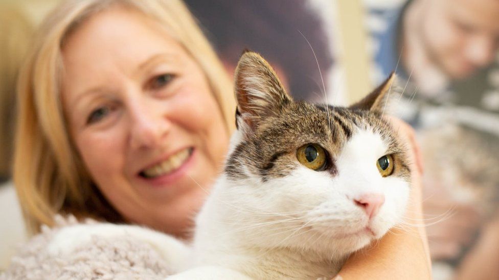 Missing Jersey cat returns home after 12 years - BBC News