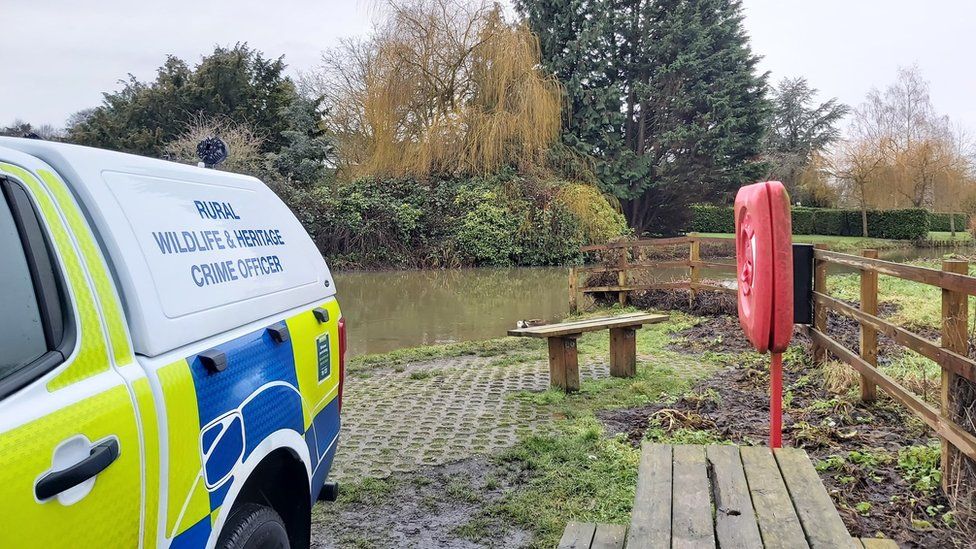 Essex Police at the pond where four swans were shot dead