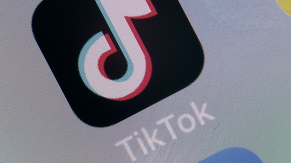 TikTok has more than 500 million users around the world