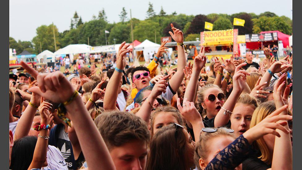 Festival attendees with arms in the air