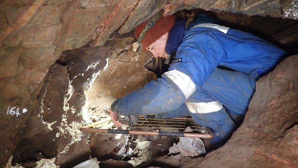 Recording deposits found near a wolf skull