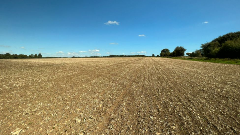 Photo of stubble field from Wilton near Marlborough