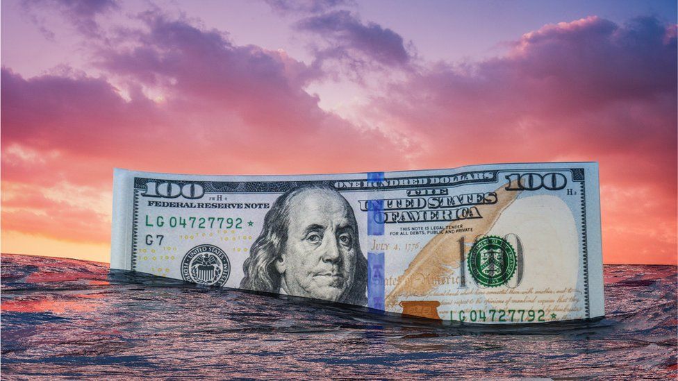 a $100 bill sinking in the sea