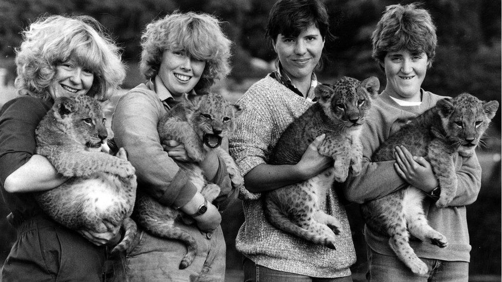 In pictures: Animals treated as West Midland Safari Park marks 50 years ...