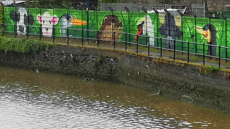 Graffiti mural along river Teifi in Cardigan