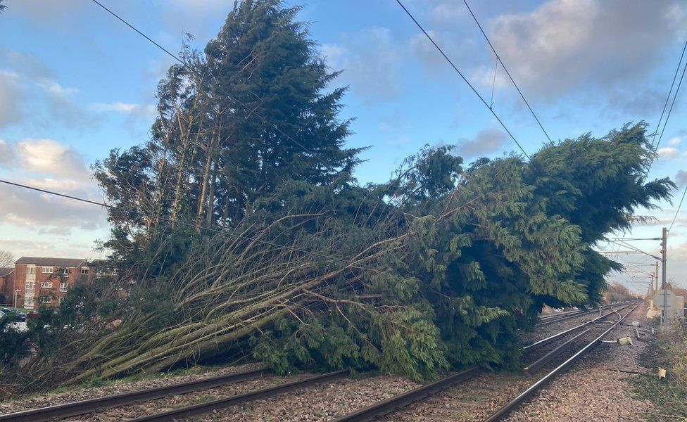 Thousands of homes remain without power after storm - BBC News