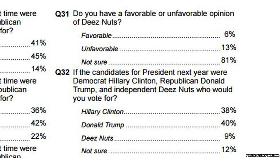 Voters Back Teenager Deez Nuts To Be Next Us President Bbc News 5488
